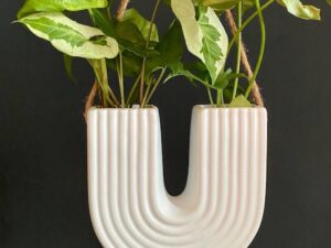 Propagation Station (U Shaped)