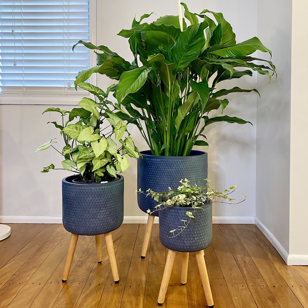 Bowknot Charcoal Pots Planters