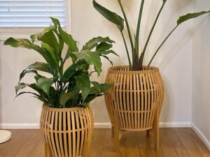 Bamboo Planter