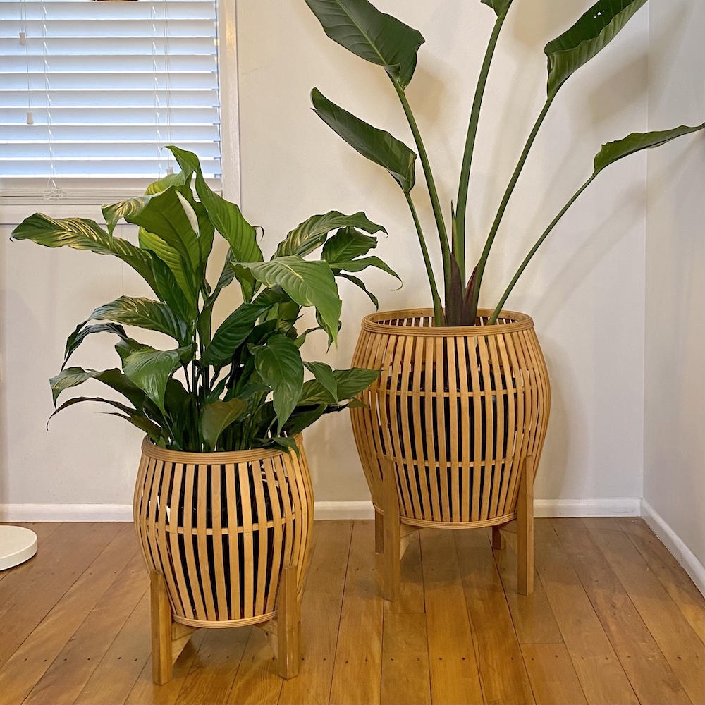 Bamboo Planter
