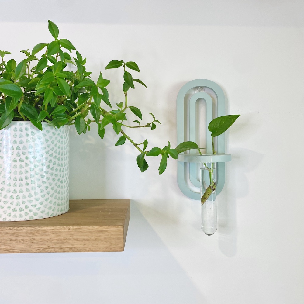 Elderwood Botanical Beaker