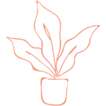 Potted Petite